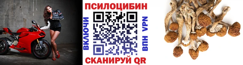 Галлюциногенные грибы Cubensis  Купить где  Кодинск 